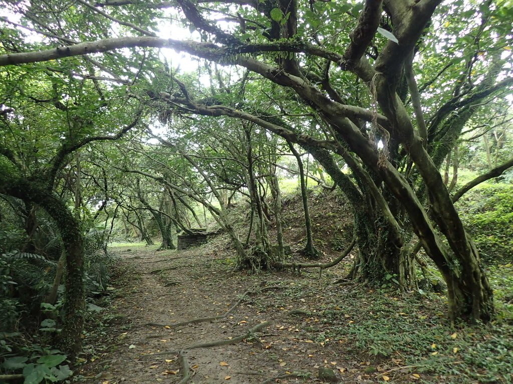 P4143550.JPG - 基隆  五坑山  總督嶺步道