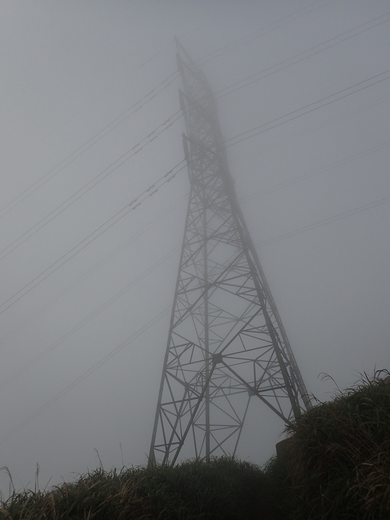 P1203432.JPG - 瑞芳  牡丹山