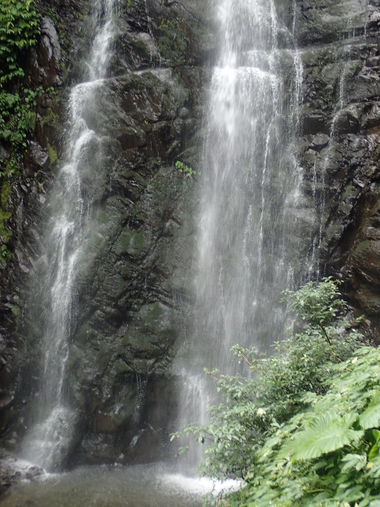 P3029001.JPG - 三峽  滿月圓森林遊樂區