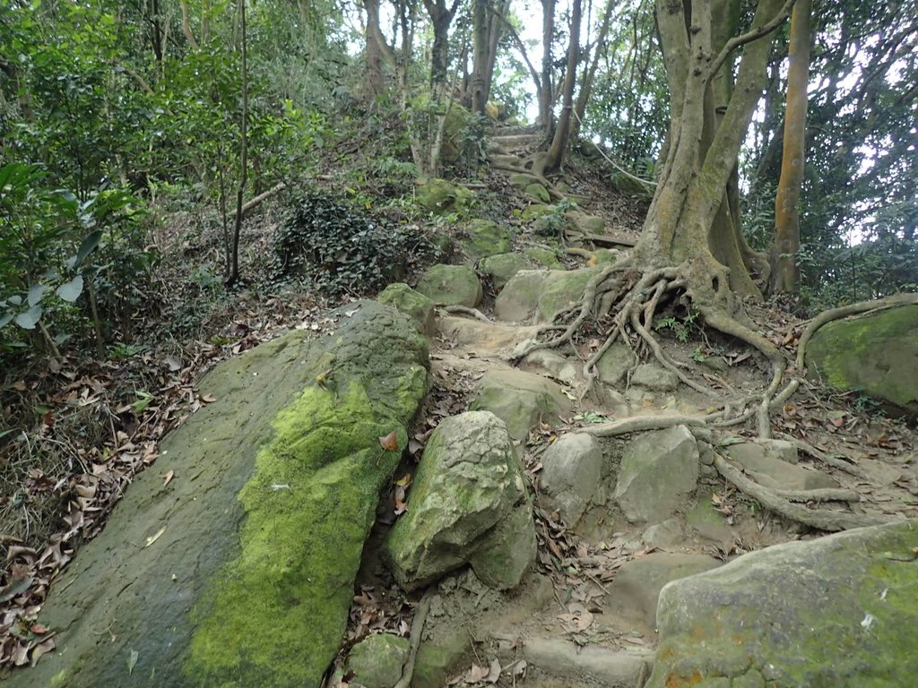 P2168064.JPG - 三峽  鳶山  (福德坑山)