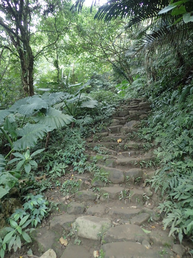 P2107481.JPG - 大溪  溪洲山登山步道