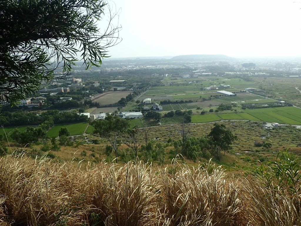 PA160952.JPG - 大甲  鐵砧山大草原