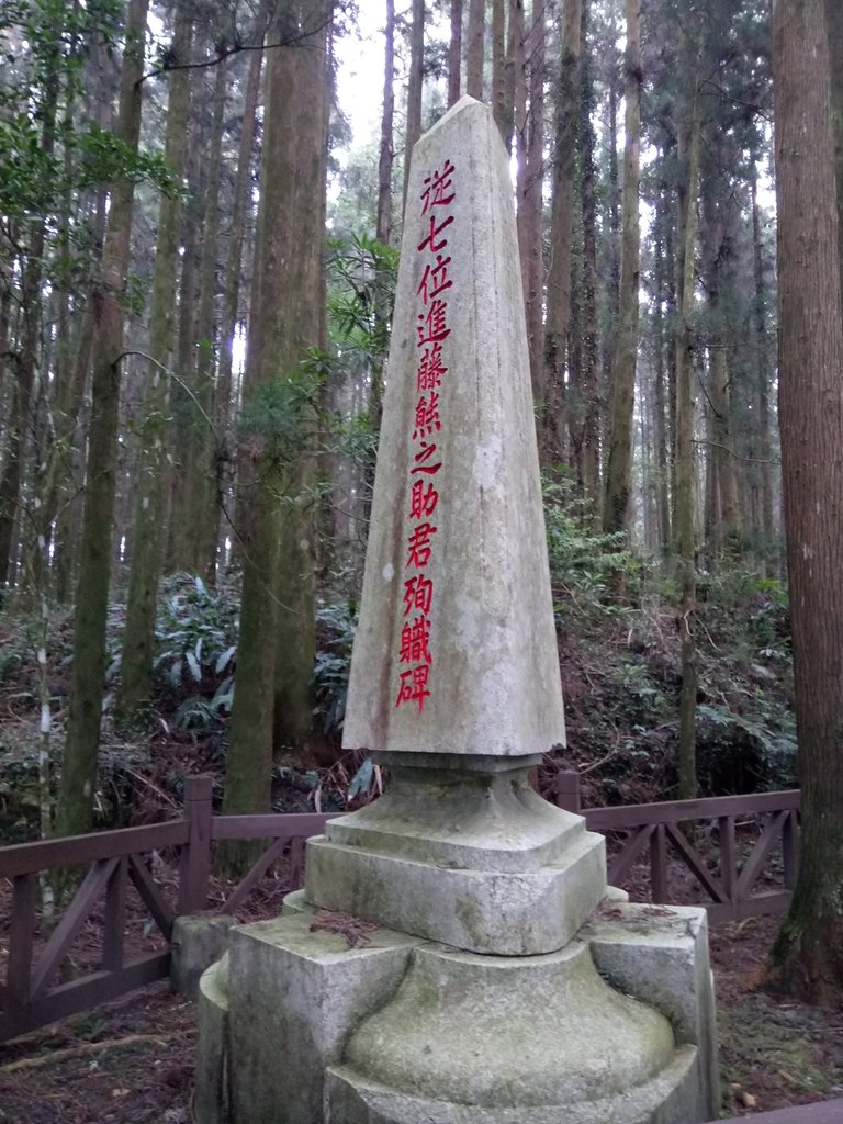 DSC_1551.JPG - 阿里山  二萬坪步道