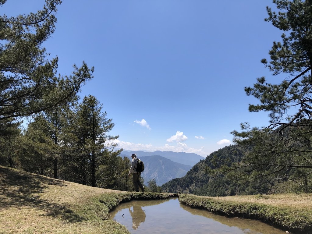 IMG_5013.JPG - 鹿林山  麟趾山步道  (01)