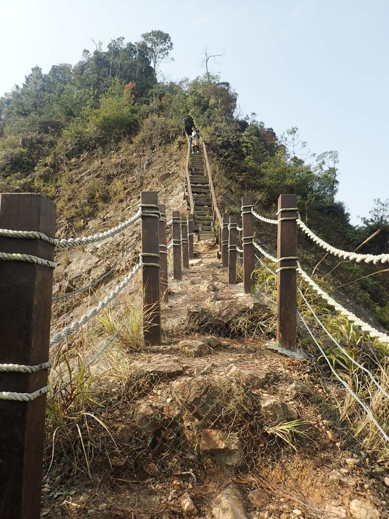 P3217625.JPG - 谷關七雄  白毛山  02