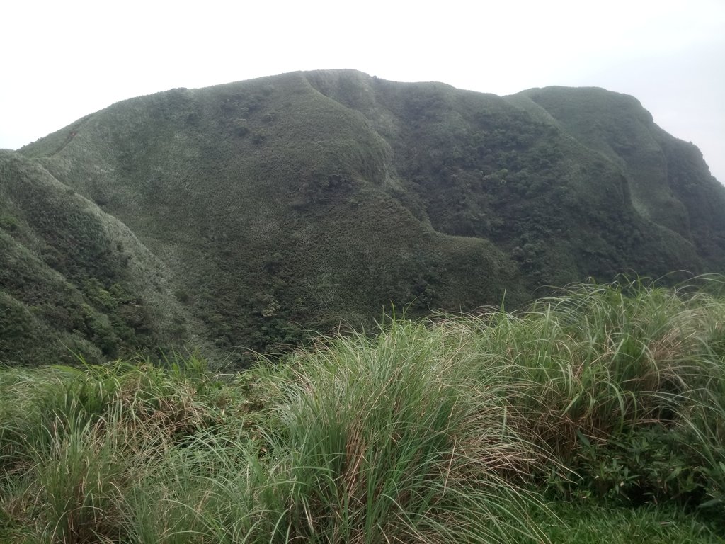 DSC_2116.JPG - 貢寮  桃源谷  灣坑頭山