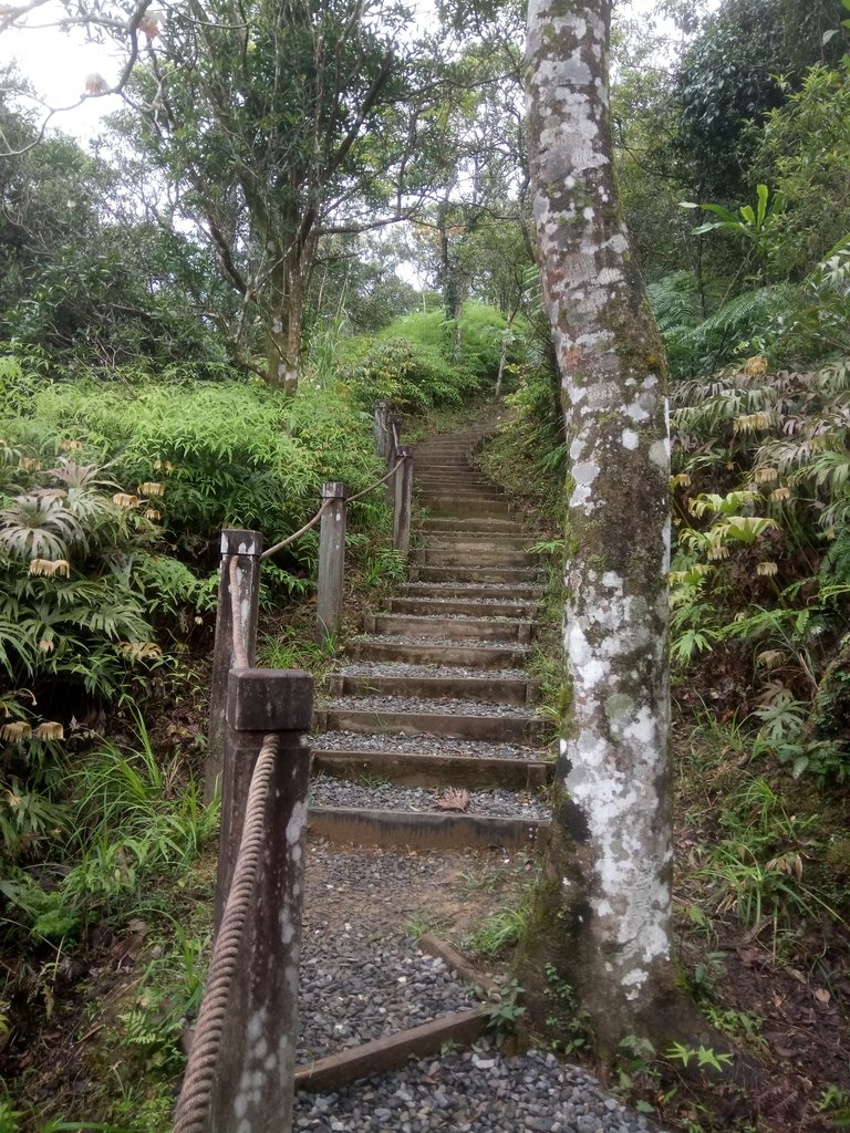 DSC_7169.JPG - 坪林  鬼子賴尖山