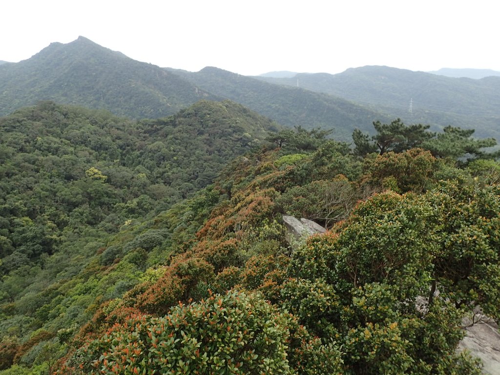 P3160082.JPG - 汐止  柯子林山  如意湖