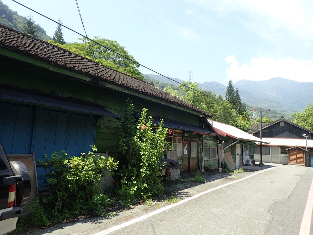 P9087884.JPG - 花蓮  鳳林  林田山林業文化園區