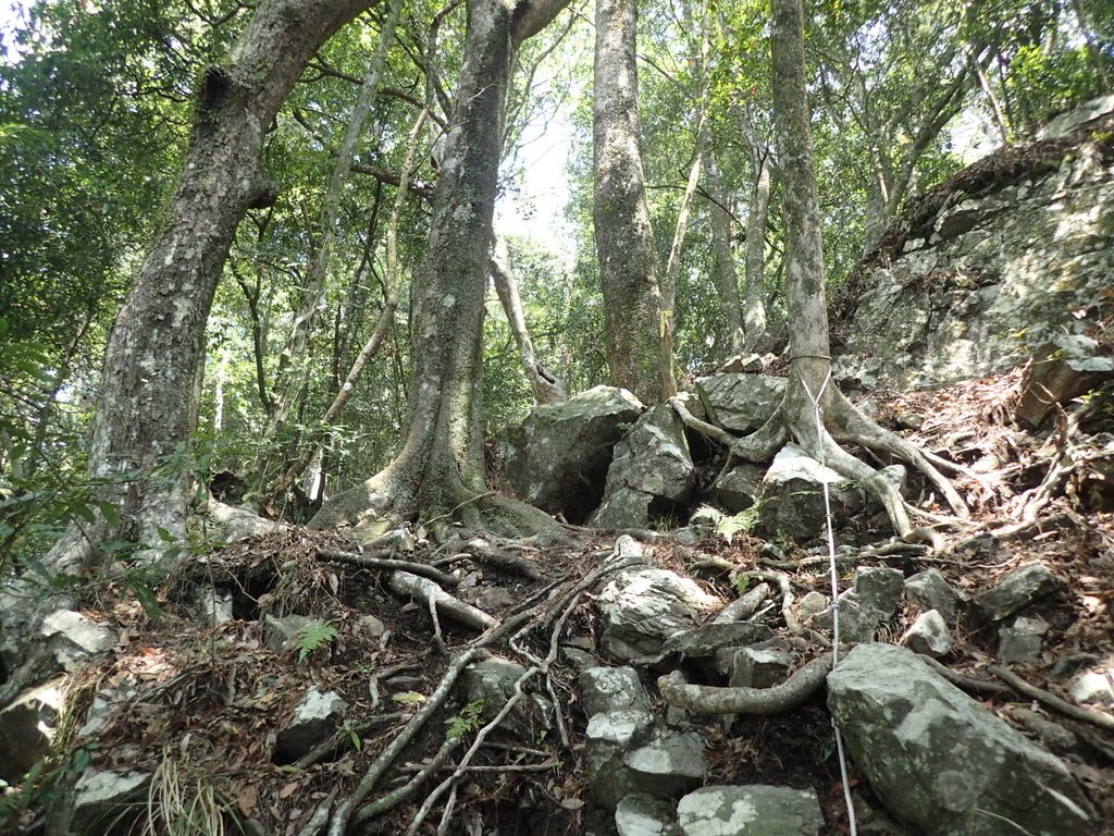 P3167307.JPG - 谷關  屋東縱走