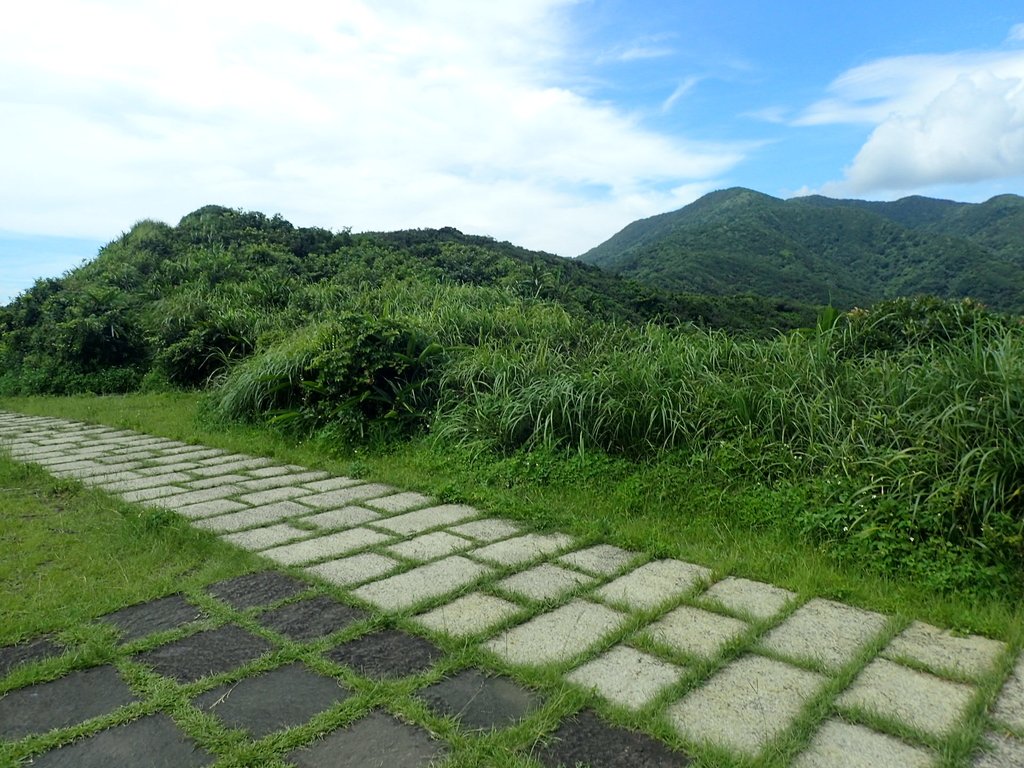 P7072297.JPG - 貢寮  蚊子坑古道  龍洞稜