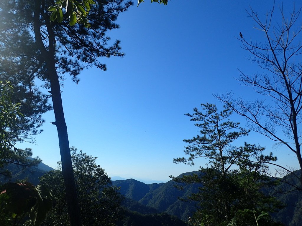 P2275896.JPG - 谷關七雄之  唐麻丹山