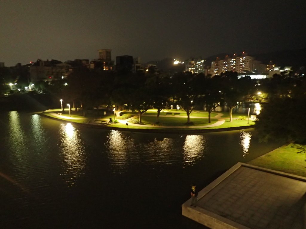 P3116982.JPG - 內湖  大湖公園之夜色