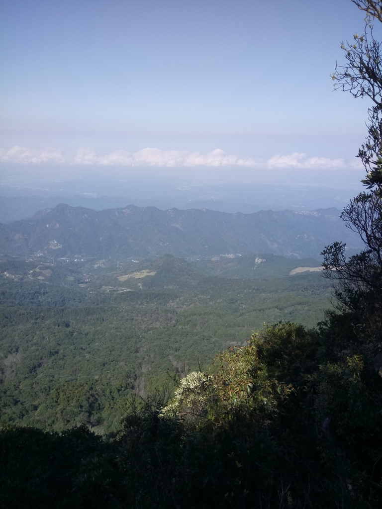 DSC_3622.JPG - 南庄  大坪林道  杜鵑嶺