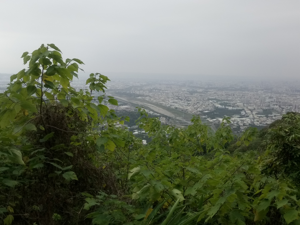 DSC_4465.JPG - 太平  三汀山  (望高寮)