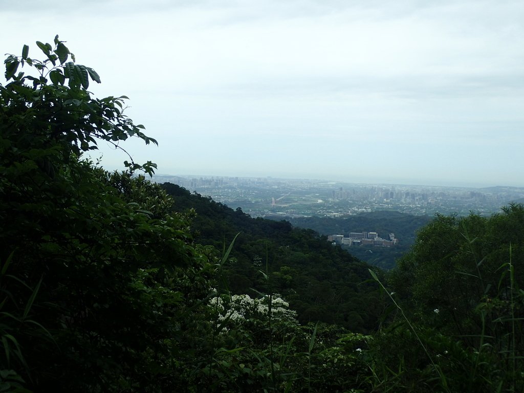 P4272140.JPG - 芎林  飛鳳山  (中坑山)