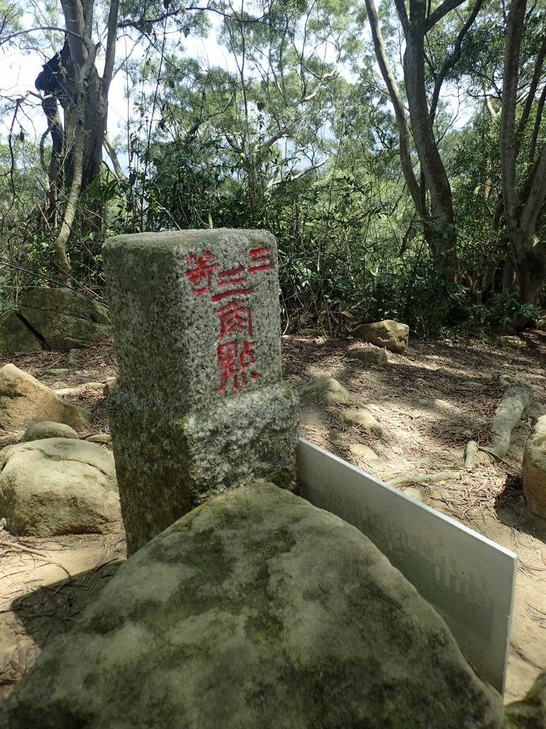 P4161449.JPG - 霧峰  青桐林生態園區