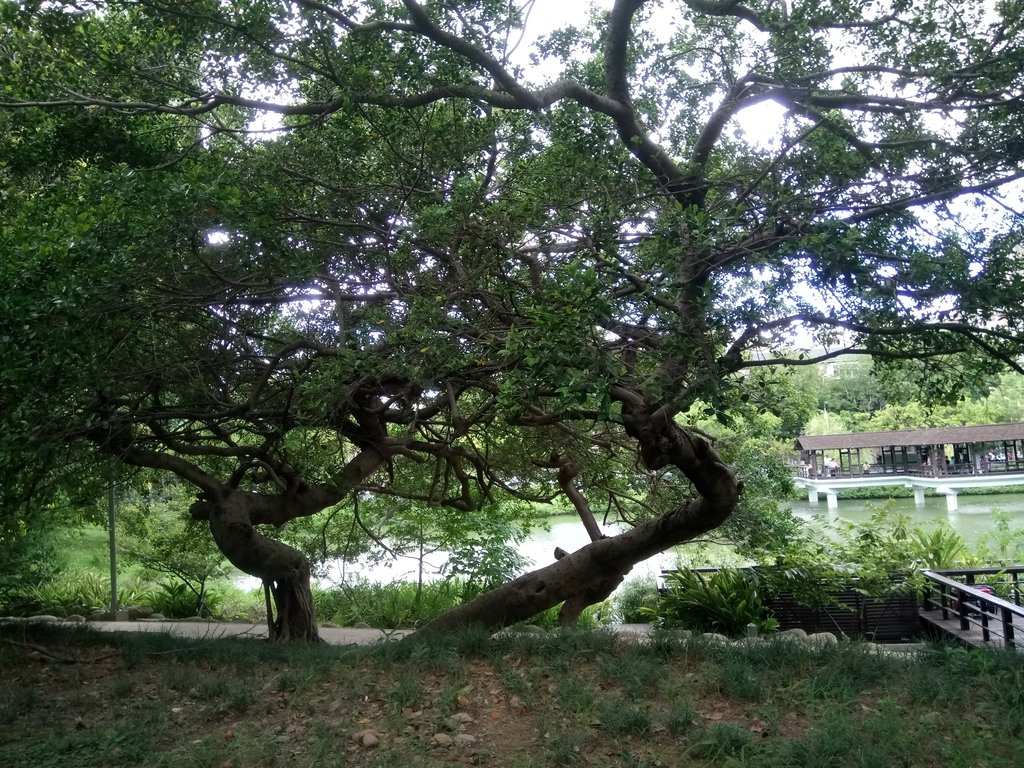 DSC_8920.JPG - 新竹  麗池湖畔  玻璃工藝博物館