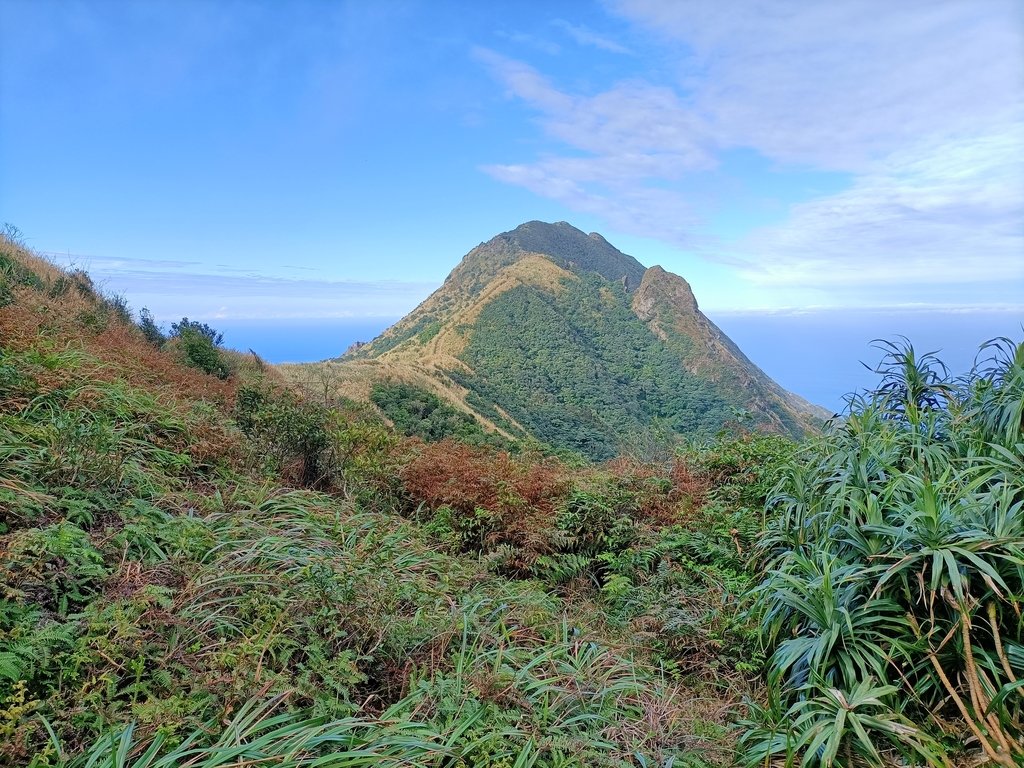 IMG20210121150143.jpg - 瑞芳  草山戰備道  (01)