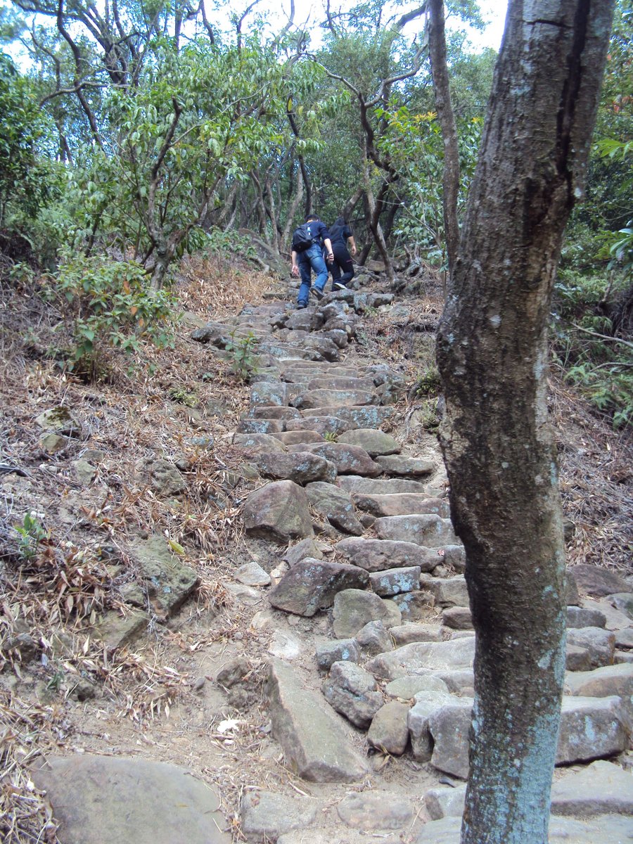 DSC06667.JPG - 內湖  金面山步道