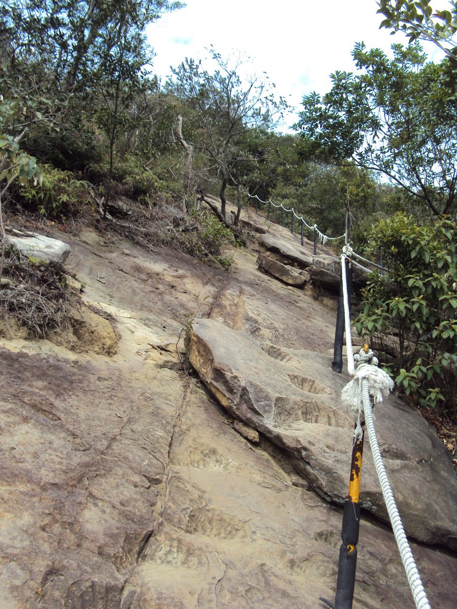 DSC06736.JPG - 內湖  金面山步道