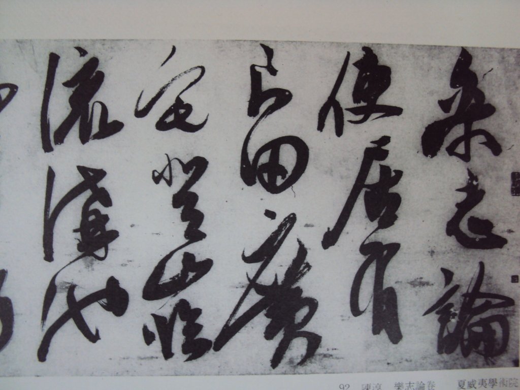 DSC00006.JPG - 陳淳的草書作品