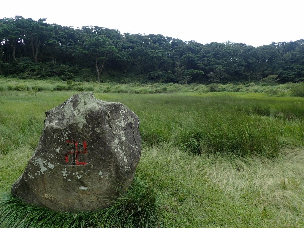 P9238223.JPG - 北投  面天山  向天湖步道