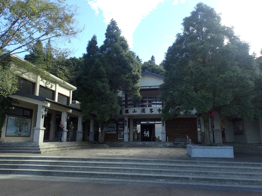 PB257459.JPG - 復興  東眼山森林步道