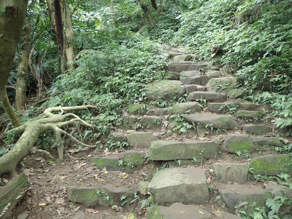 P2107482.JPG - 大溪  溪洲山登山步道