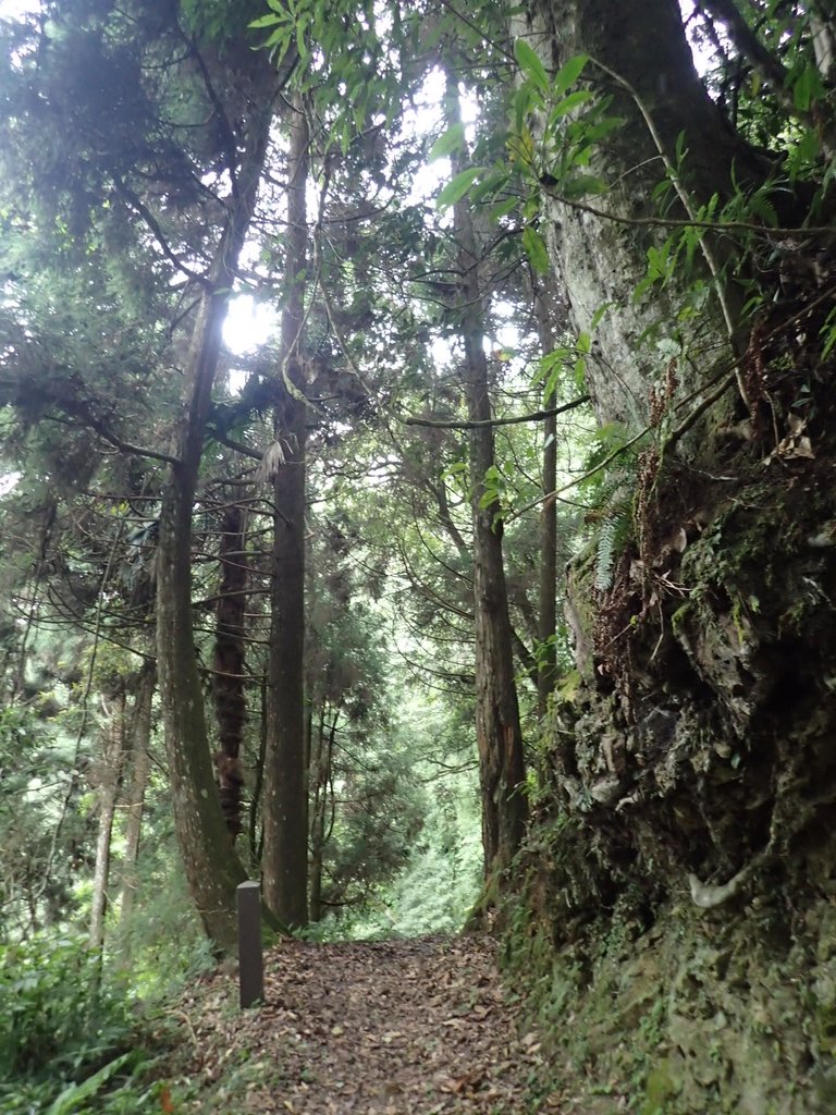 PA231741.JPG - 石壁山  嘉南雲峰步道