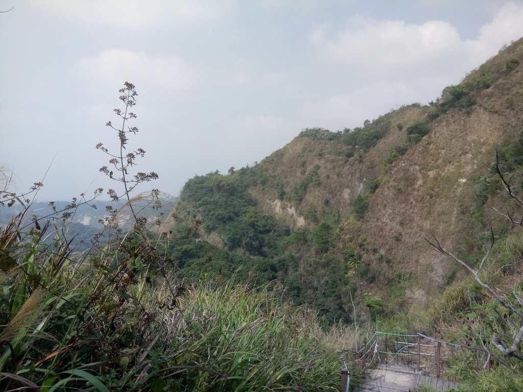 DSC_7361.JPG - 草屯平林  九九峰森林步道