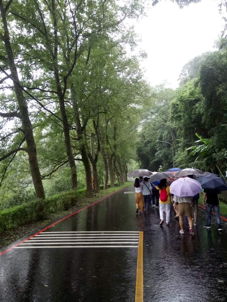 DSC_8905.JPG - 雨中漫遊  石門水庫