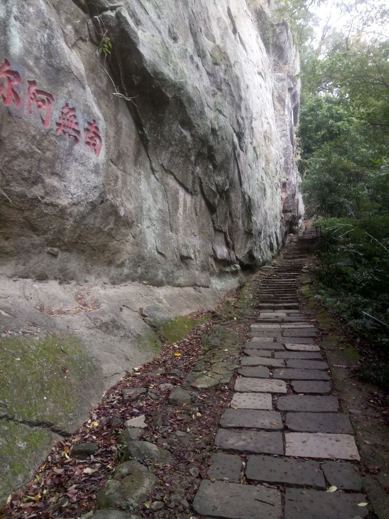 DSC_2827.JPG - 獅頭山  獅山古道  (02)