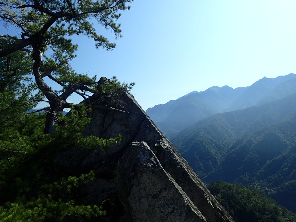 P3167228.JPG - 谷關  東卯山東南稜