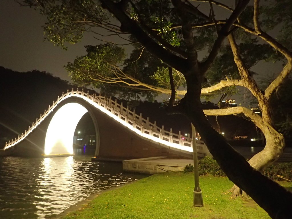 P3116992.JPG - 內湖  大湖公園之夜色