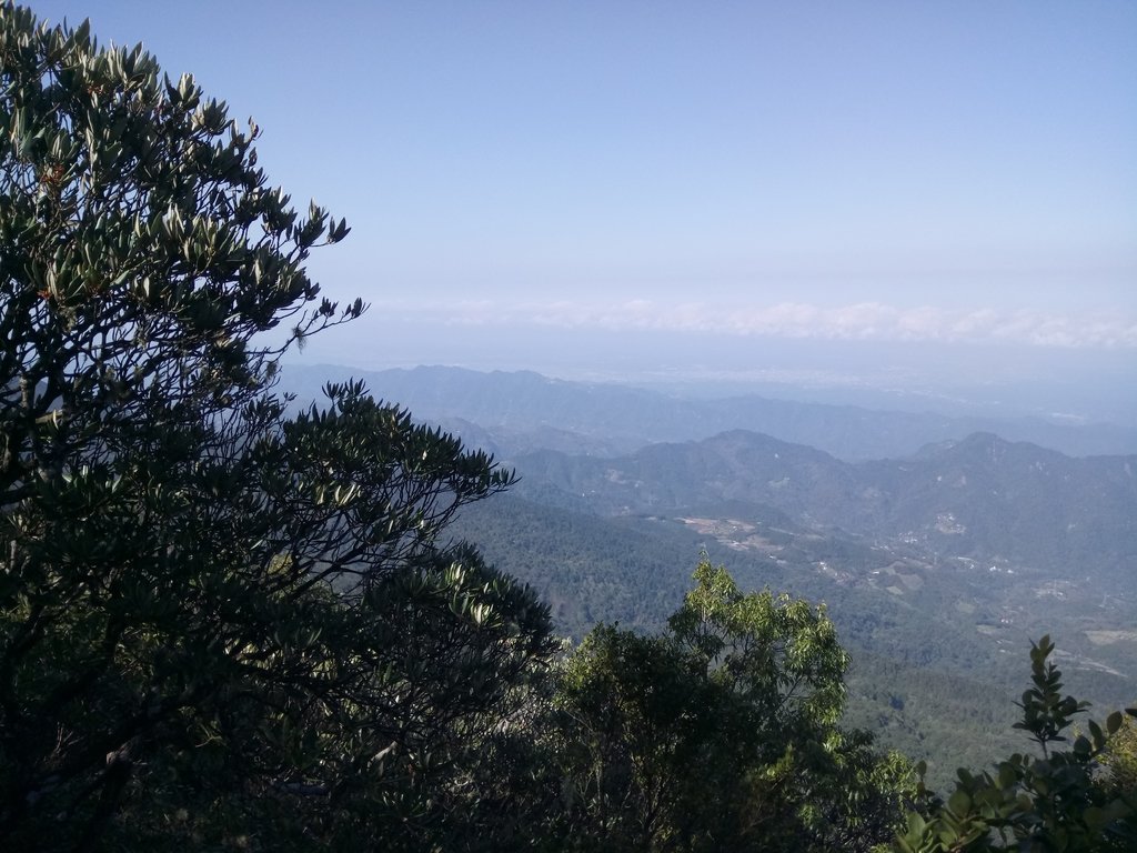 DSC_3612.JPG - 南庄  大坪林道  杜鵑嶺