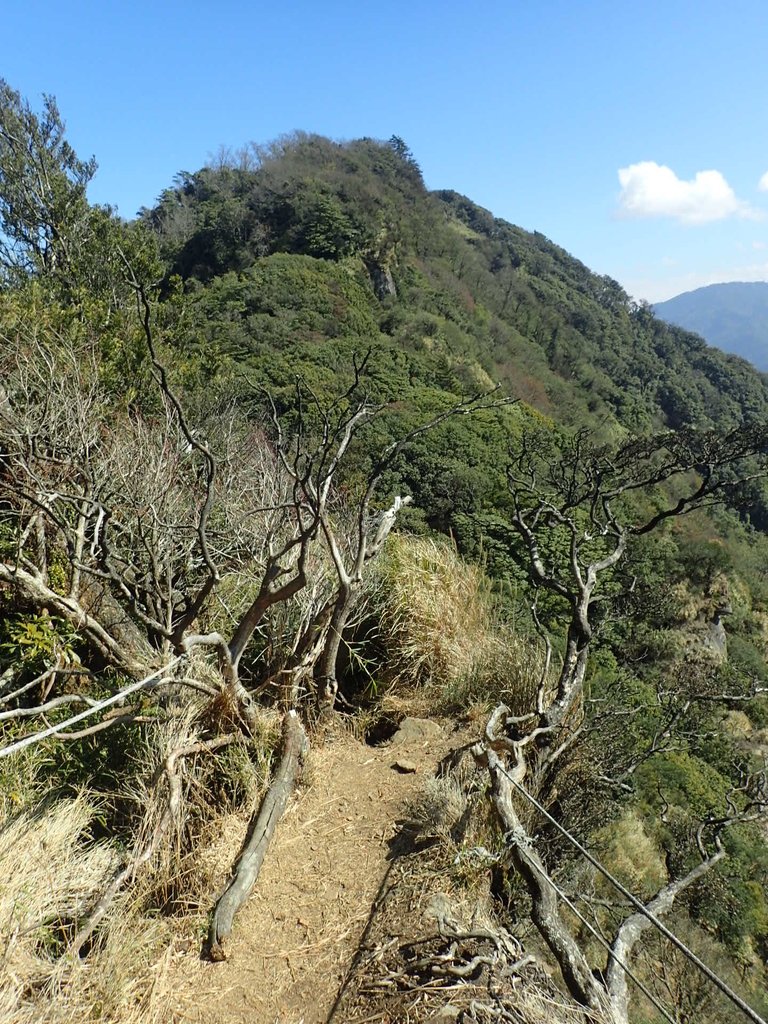 P2034813.JPG - 南庄  加里山