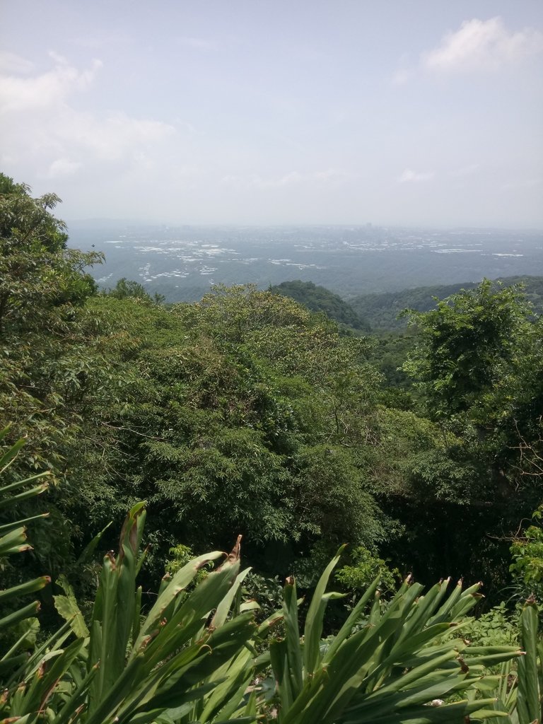 DSC_6864.JPG - 觀音山  風櫃斗湖登山步道