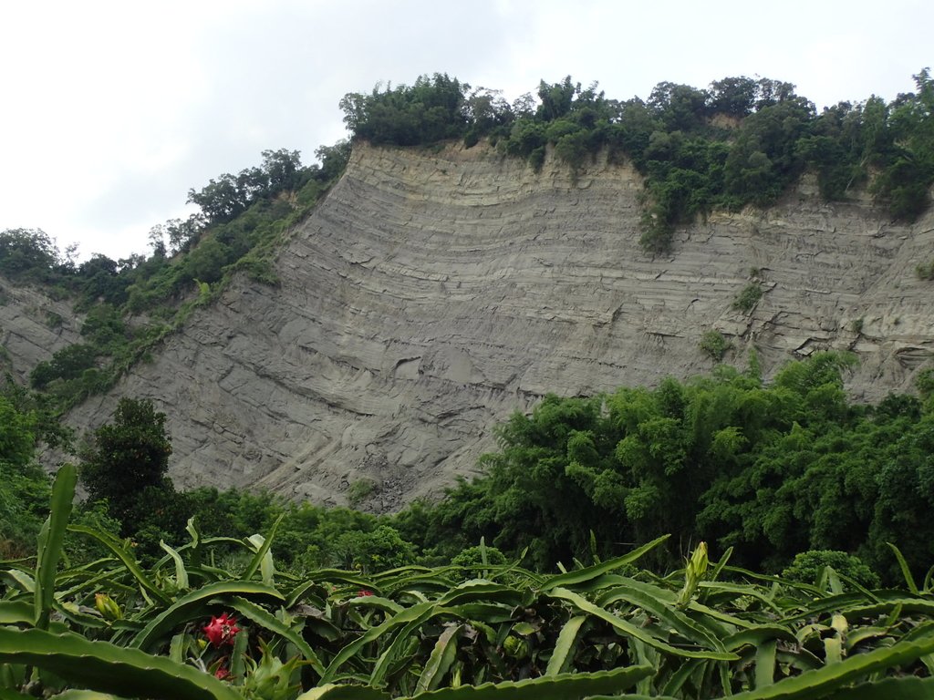 P6284996.JPG - 霧峰  烏溪北岸之  象鼻坑風光