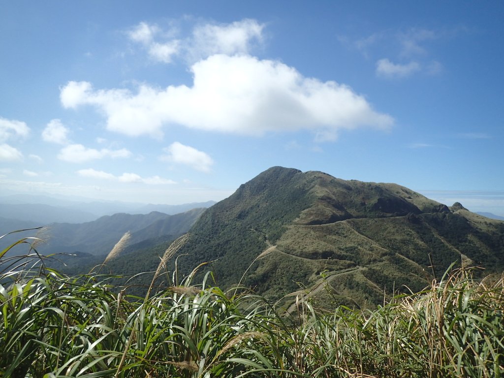 P1216550.JPG - 瑞芳  草山戰備道  (01)