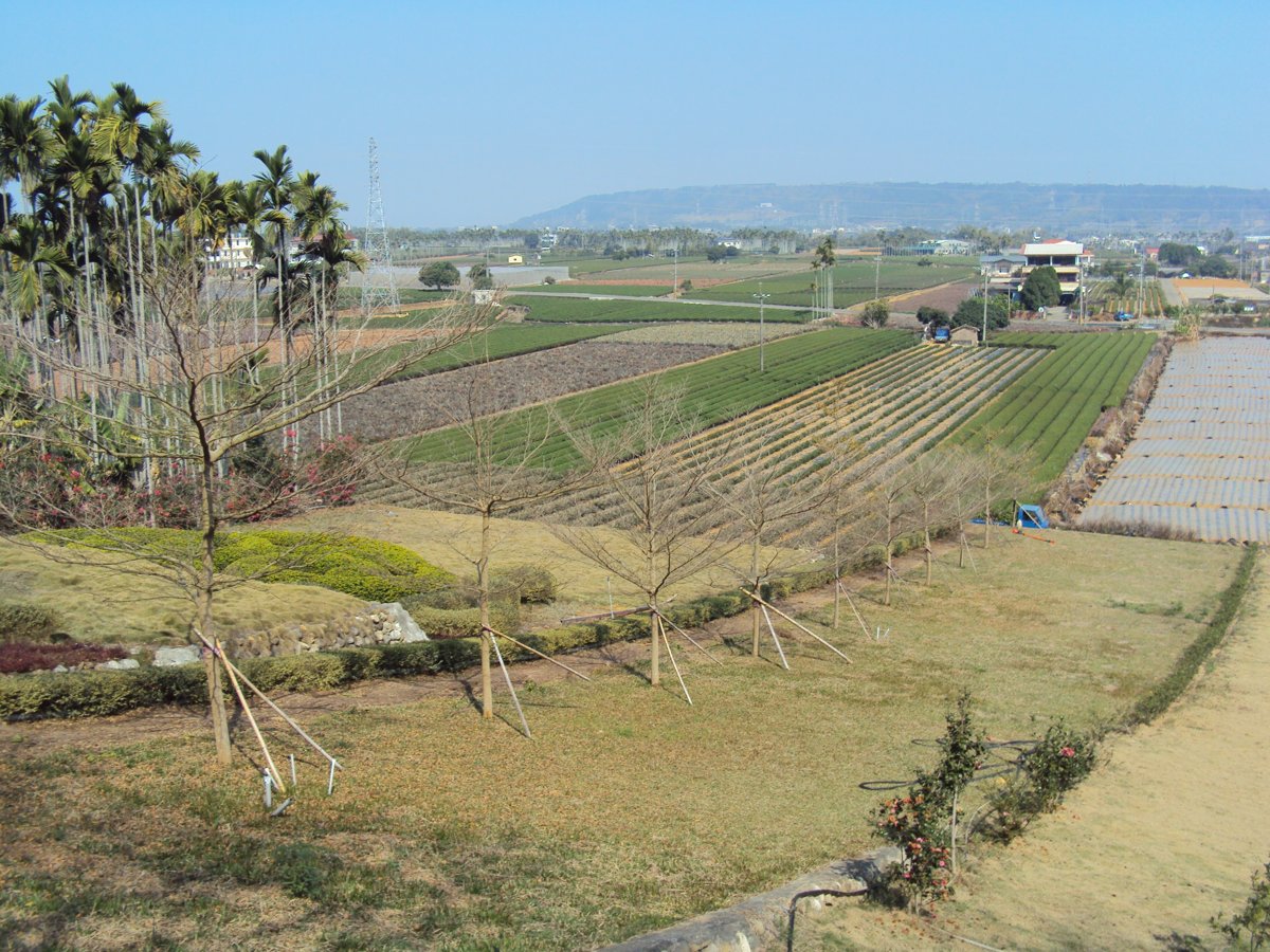 DSC03692.JPG - 名間  三崙尾  田野風光