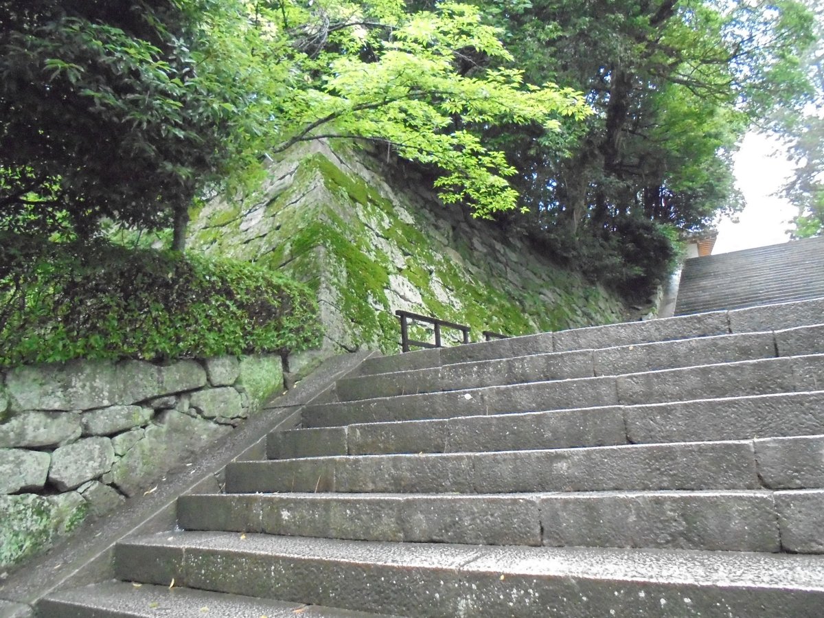 DSC04045.JPG - 京都  華頂山  知恩院