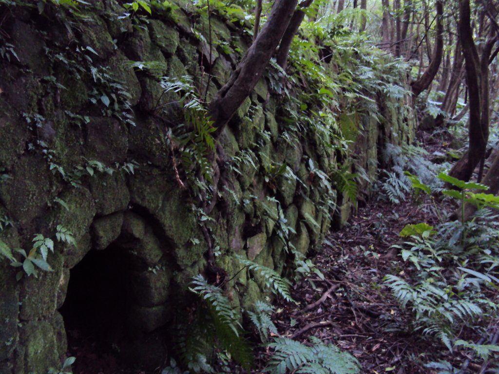 DSC03342.JPG - 瑞芳  粗坑口登山步道