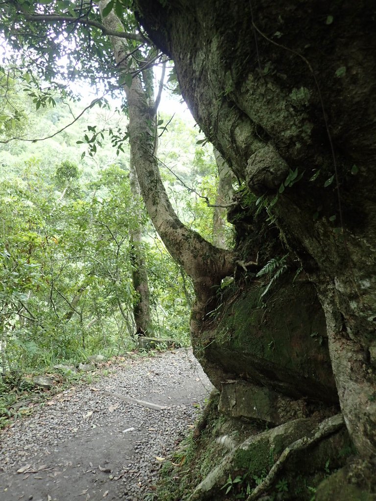 P9127747.JPG - 礁溪  林美石磐步道