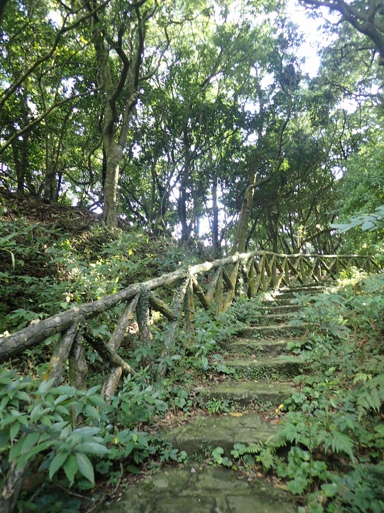 PB247217.JPG - 北投  中正山登山步道 03