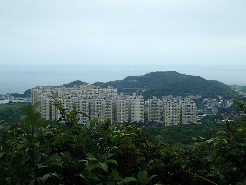 P4143568.JPG - 基隆  五坑山  總督嶺步道