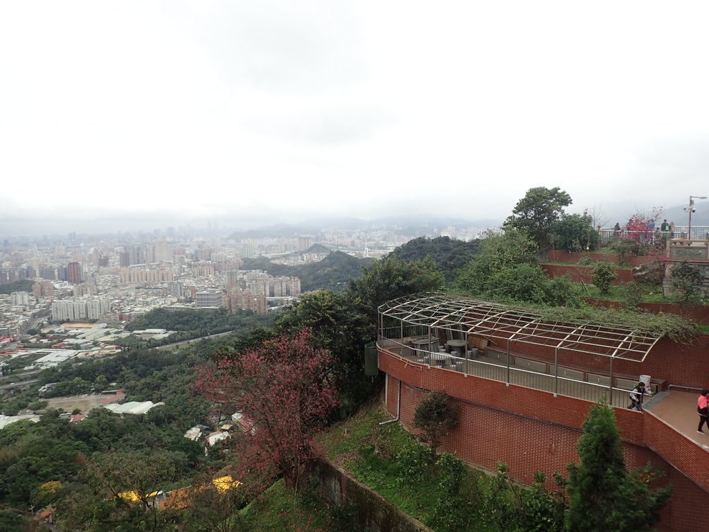 P2178209.JPG - 中和  南勢角山  (烘爐地)