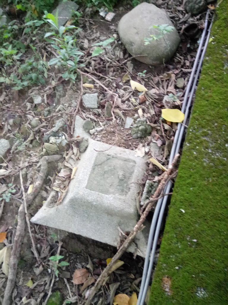 DSC_9004.JPG - 苗栗  稻荷神社遺址