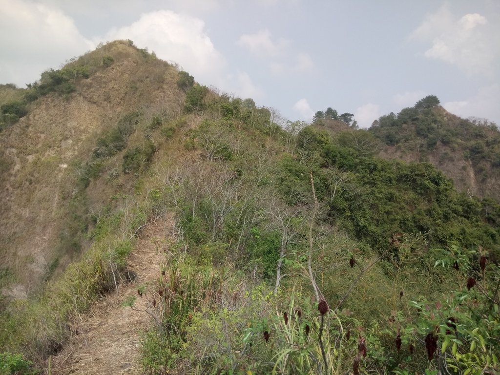 DSC_7362.JPG - 草屯平林  九九峰森林步道