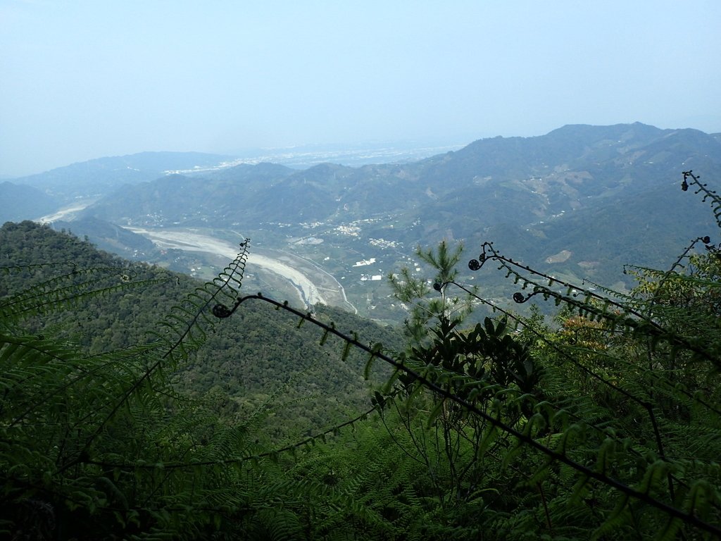 P3217677.JPG - 谷關七雄  白毛山  03